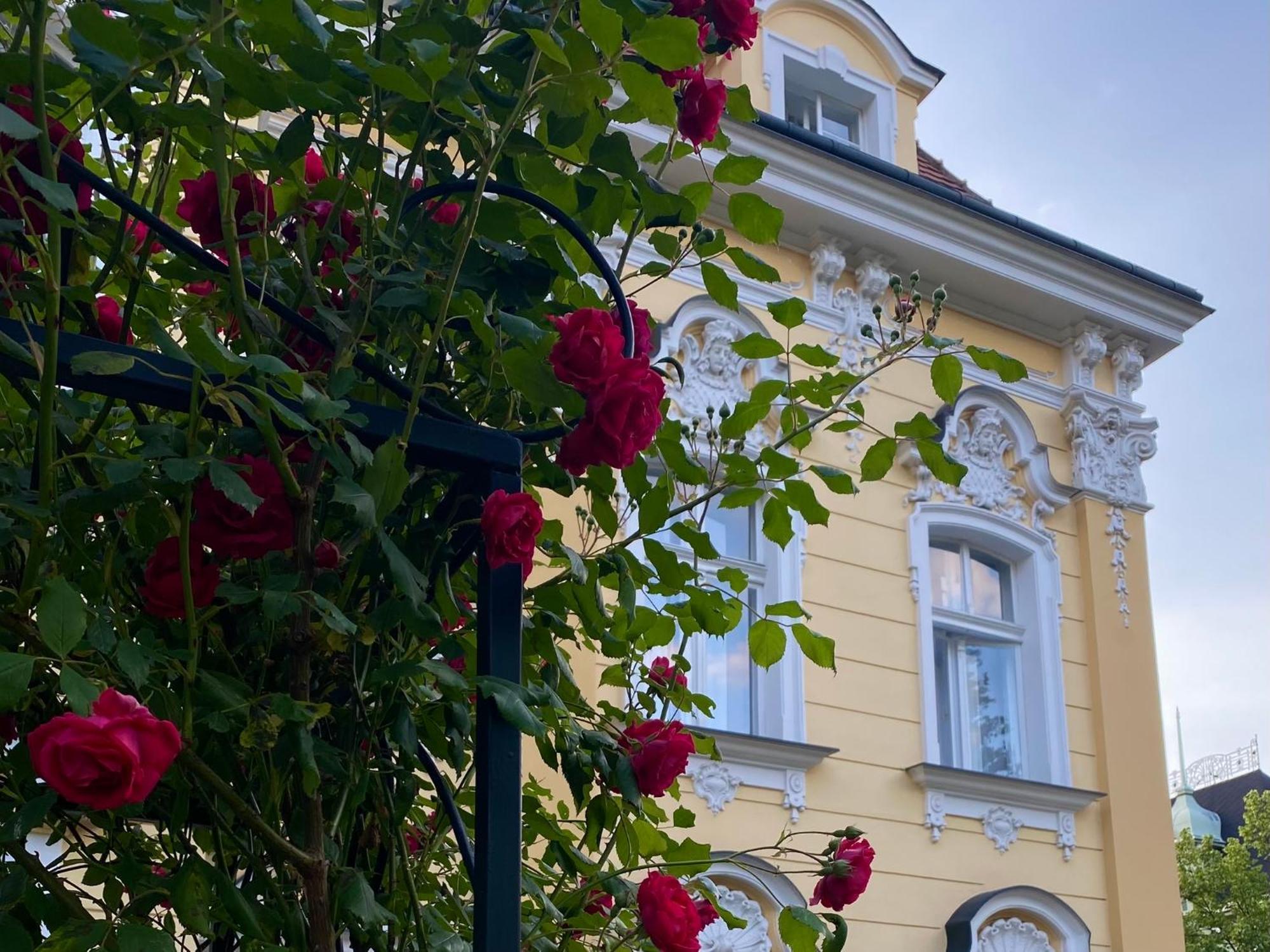 Salve Teplice Leilighet Eksteriør bilde